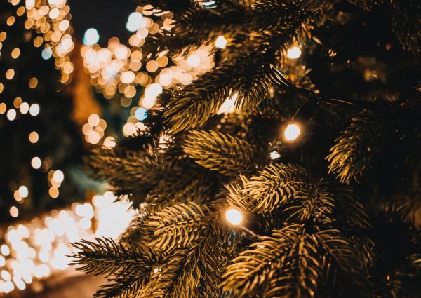 michael-voroshnin-OvR8LDjQLtI-unsplash michael-voroshnin-OvR8LDjQLtI-unsplash